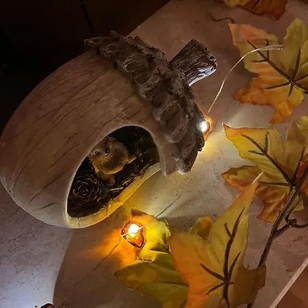 Zum Drachenfels Busenberg